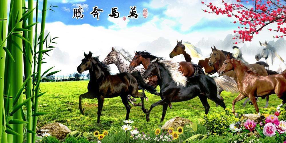 ZS-206-(300x150)