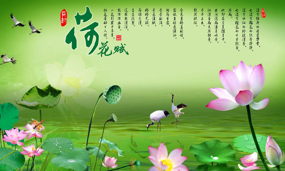 ZS-215-(300X180)