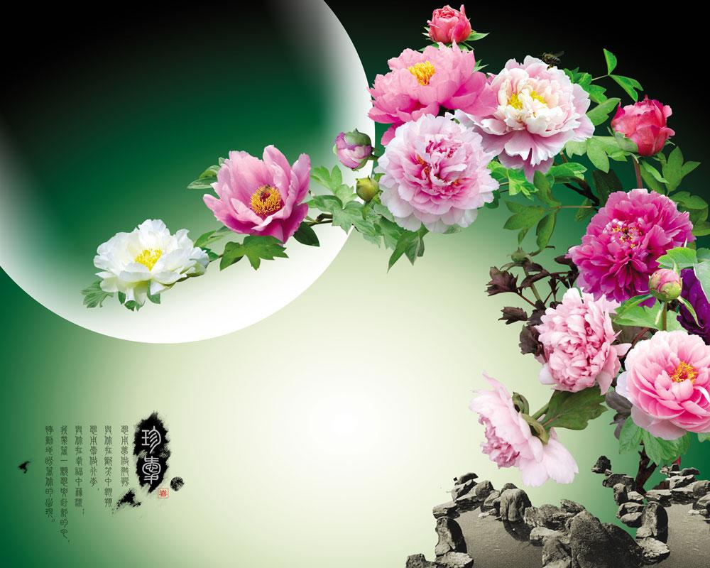 ZS-257-(300x240)